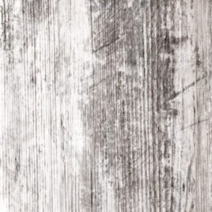 Canyon white Pine 386